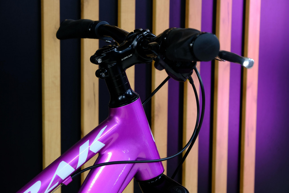 LORAK SHARK 24 GOLD Анод Розовый